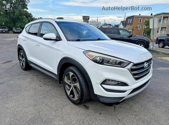 KM8J3CA28HU295247 2017 HYUNDAI TUCSON White Vista frontal