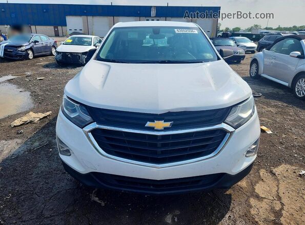 2GNAXREV8J6204327 2018 CHEVROLET EQUINOX Белый Вид сзади