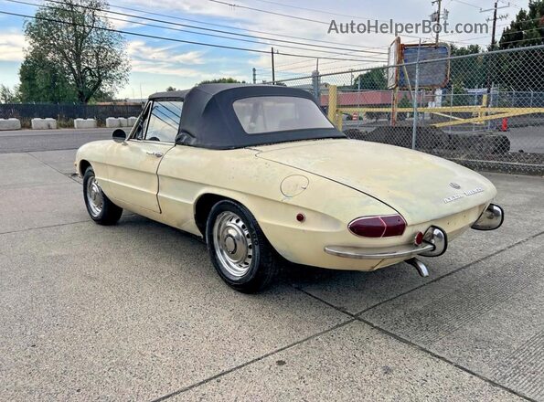 AR1480400 1969 ALFA ROMEO DUETTO Beige Engine compartment view