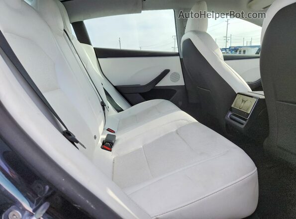 5YJ3E1EA5RF869231 2024 TESLA MODEL Угольный Вид задней части салона