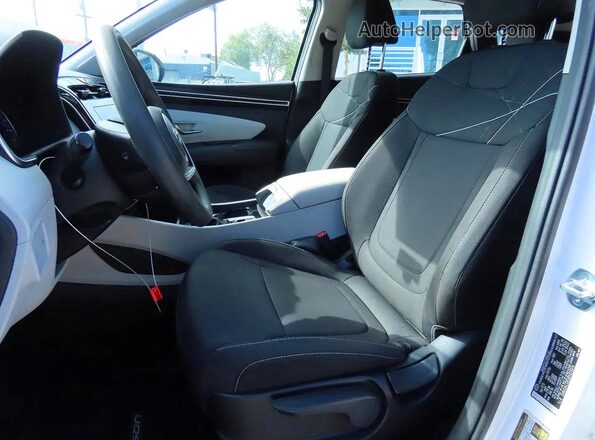 5NMJACDE5RH323076 2024 HYUNDAI TUCSON Белый Вид задних сидений
