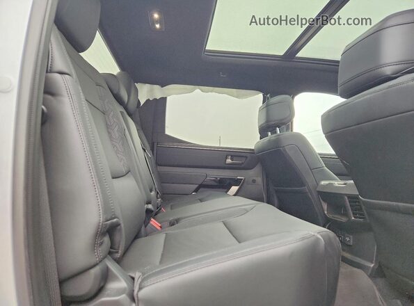 5TFWA5DB4SX295999 2025 TOYOTA TUNDRA Серебряный Вид задней части салона