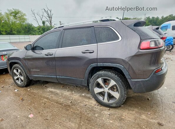 1C4PJMDN9KD134218 2019 JEEP CHEROKEE Серый Задняя правая четверть