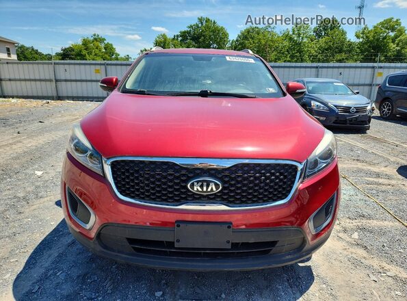 5XYPGDA53GG109682 2016 KIA SORENTO Red Widok z tyłu