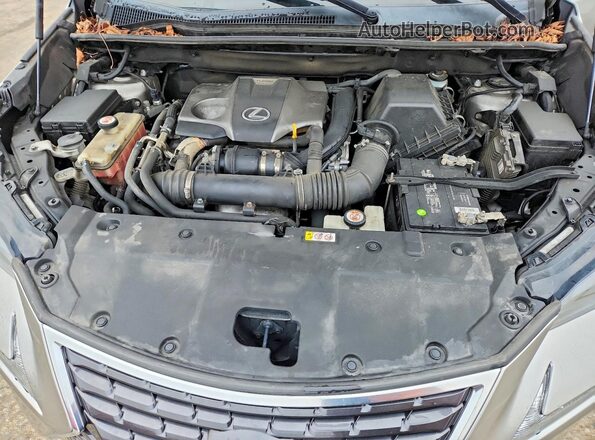 JTJBARBZ7K2199946 2019 LEXUS NX Silver VIN կոդի պիտակի տեսք