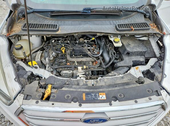 1FMCU0GDXHUE17099 2017 FORD ESCAPE White Vista de la etiqueta del VIN