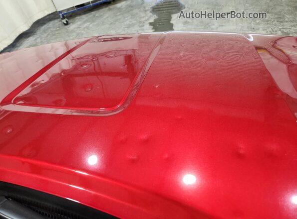 3GKALTEG1RL262388 2024 GMC TERRAIN Red 