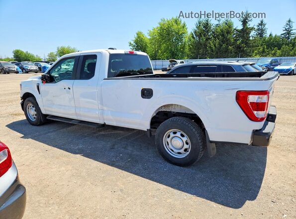 1FTFX1E82PKD03080 2023 FORD F150 White Հետևի աջ