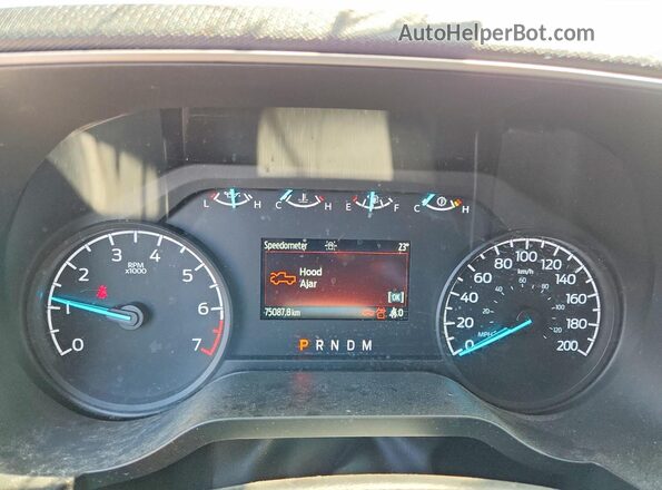 1FTFX1E82PKD03080 2023 FORD F150 White Հետևի նստատեղերի տեսք