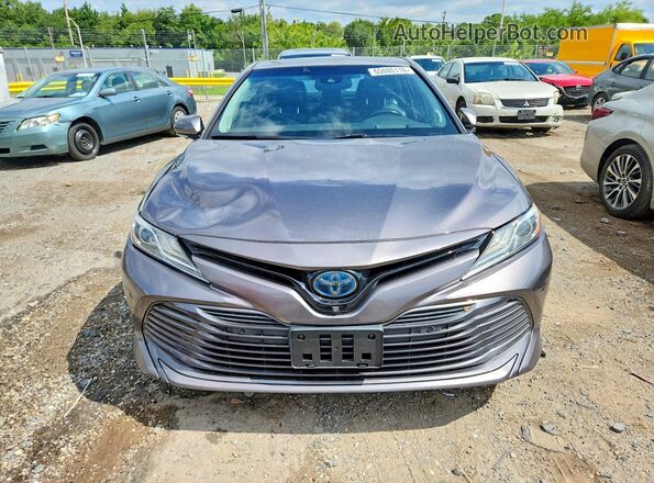 4T1B21HKXKU514895 2019 TOYOTA CAMRY SOLARA Gray Вид ззаду