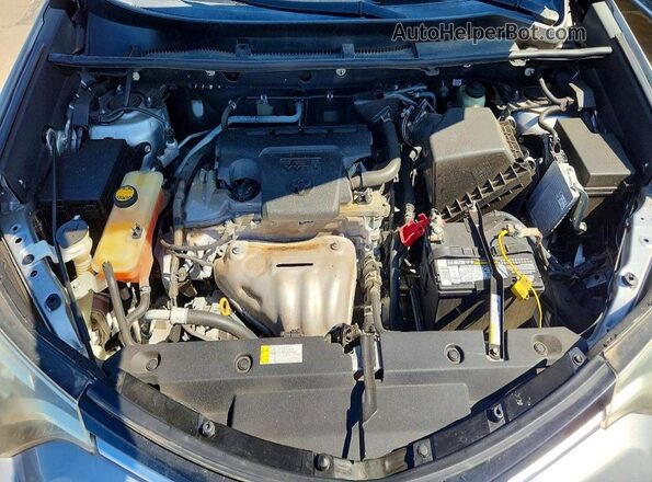2T3DFREV5GW495035 2016 TOYOTA RAV4 Silver Widok naklejki z numerem VIN