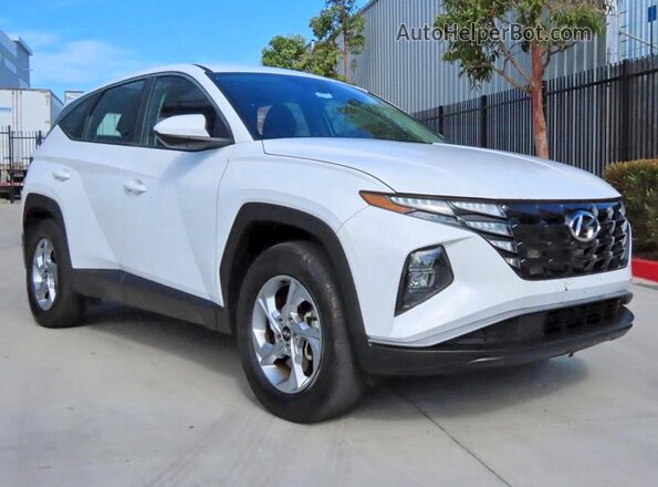 5NMJACDE5RH323076 2024 HYUNDAI TUCSON Белый Задняя левая четверть