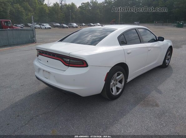 2C3CDXAG6KH513732 2019 DODGE CHARGER White უკანა მარჯვენა