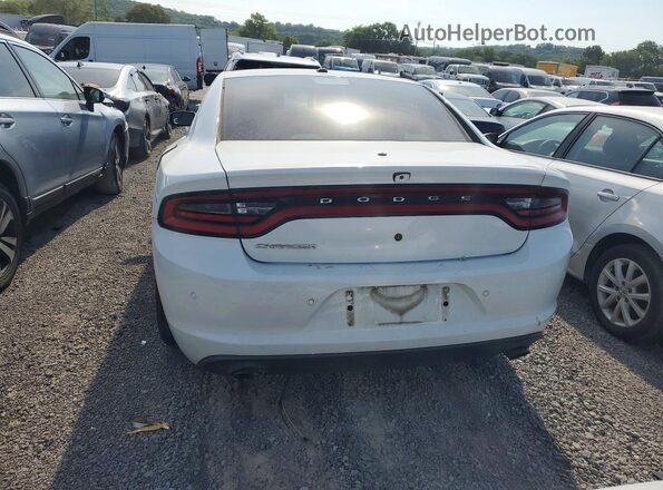 2C3CDXAG7KH510158 2019 DODGE CHARGER Белый Вид сзади
