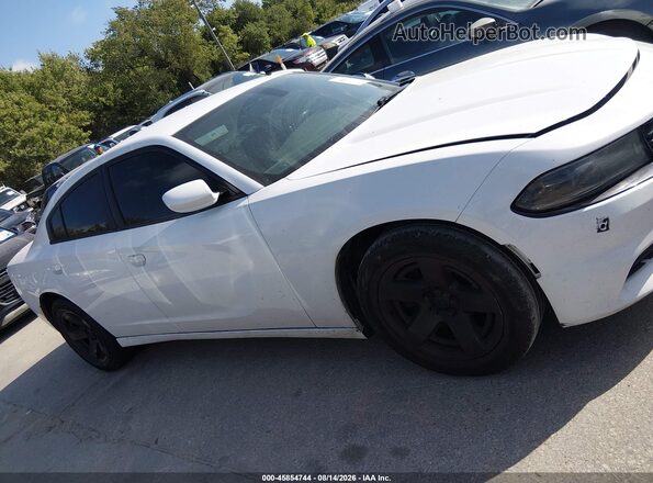 2C3CDXAT0GH228691 2016 DODGE CHARGER Белый Вид задней части салона
