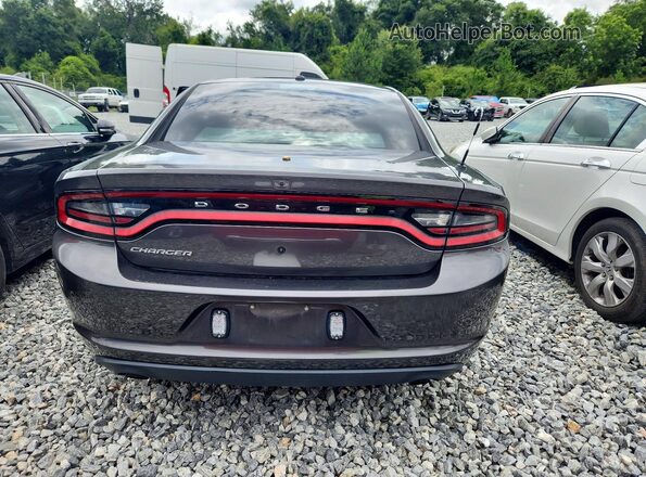 2C3CDXAT7PH516126 2023 DODGE CHARGER Gray უკანა ხედი