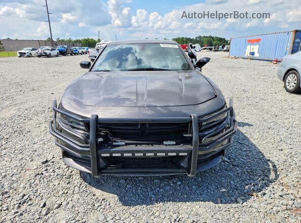 2C3CDXAT7PH516126 2023 DODGE CHARGER Gray წინა ხედი