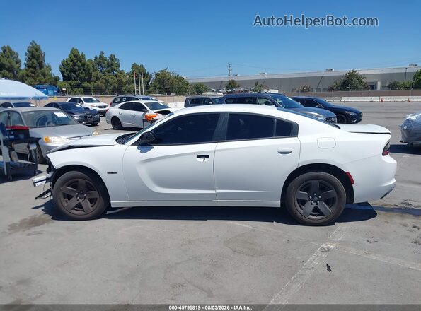 2C3CDXAT8MH532301 2021 DODGE CHARGER Белый 