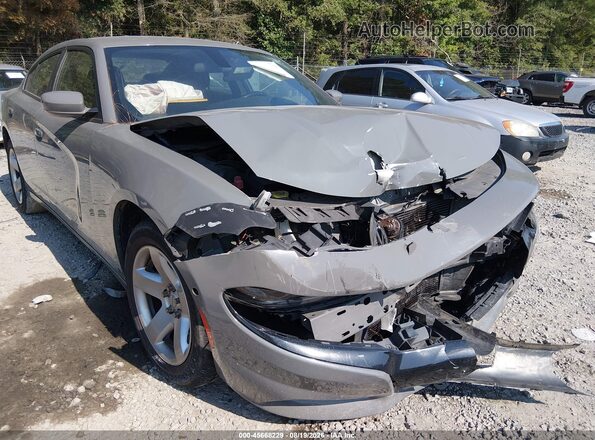 2C3CDXAT9KH575932 2019 DODGE CHARGER Silver Vista frontal