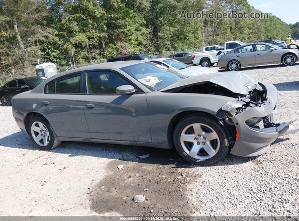 2C3CDXAT9KH575932 2019 DODGE CHARGER Silver Vista interior trasera