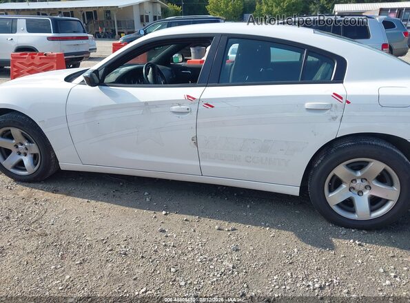 2C3CDXATXPH519487 2023 DODGE CHARGER Белый Панорамный вид салона 360°