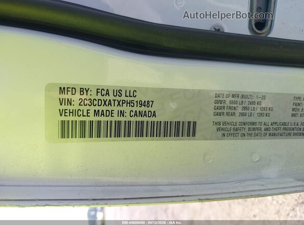 2C3CDXATXPH519487 2023 DODGE CHARGER Белый Вид подкапотного пространства