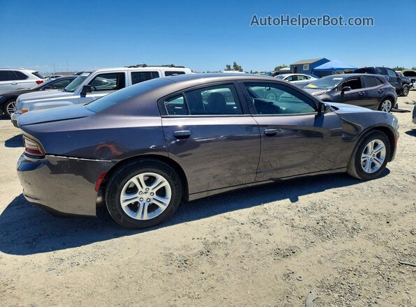 2C3CDXBG0MH527174 2021 DODGE CHARGER Gray Задня права чверть