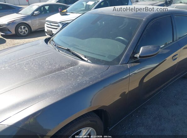 2C3CDXBG0MH579078 2021 DODGE CHARGER Gray Դիմացի տեսք
