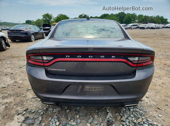 2C3CDXBG0PH559739 2023 DODGE CHARGER Gray უკანა ხედი