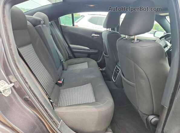2C3CDXBG0PH559739 2023 DODGE CHARGER Gray უკანა სავარძლების ხედი