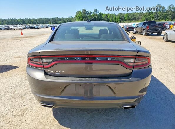 2C3CDXBG1PH522361 2023 DODGE CHARGER Серый Вид сзади