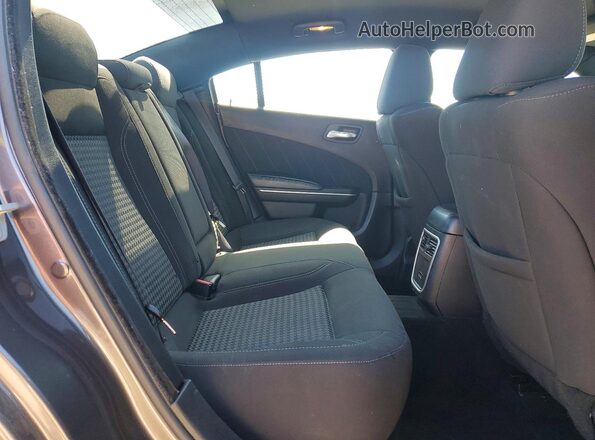 2C3CDXBG1PH522361 2023 DODGE CHARGER Серый Вид задних сидений
