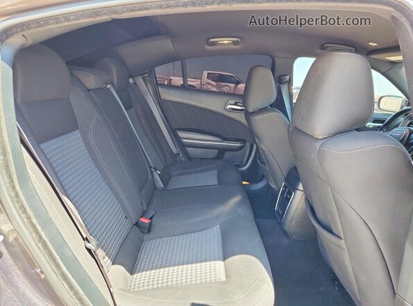 2C3CDXBG1PH663253 2023 DODGE CHARGER Gray Rear seats view