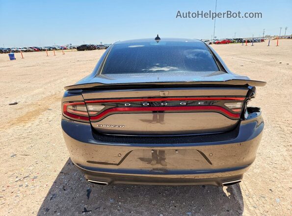 2C3CDXBG1PH663253 2023 DODGE CHARGER Gray Rear view