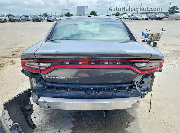 2C3CDXBG4KH605775 2019 DODGE CHARGER Серый Вид сзади