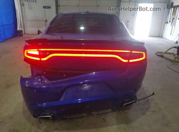 2C3CDXBG4LH248437 2020 DODGE CHARGER Синий Вид сзади