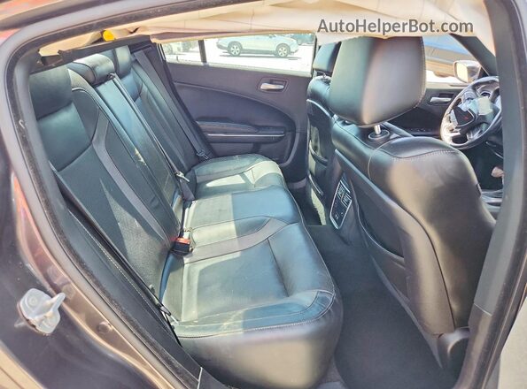 2C3CDXBG4MH518378 2021 DODGE CHARGER Gray Вид задніх сидінь