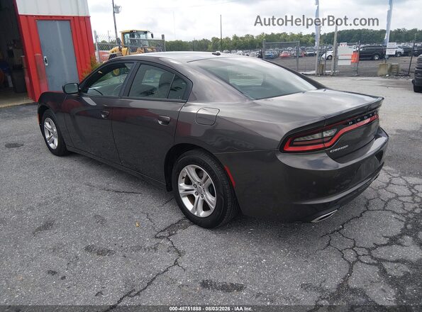 2C3CDXBG6LH100502 2020 DODGE CHARGER Gray Tył lewy