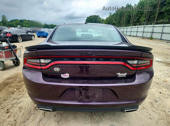 2C3CDXBG7LH249632 2020 DODGE CHARGER Фиолетовый Вид сзади