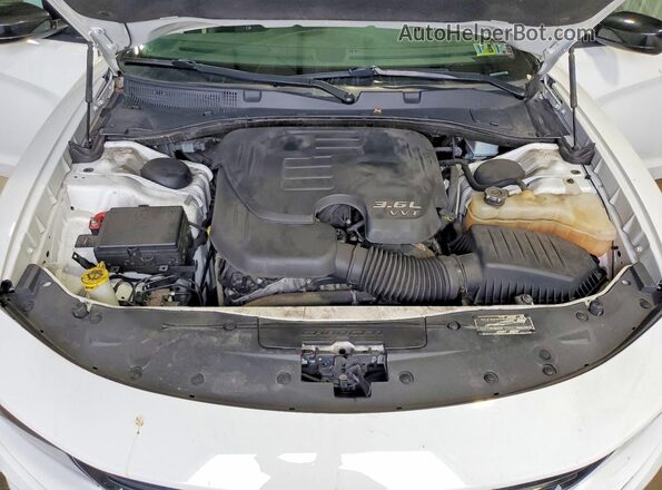 2C3CDXBG7PH546695 2023 DODGE CHARGER Белый Вид задней части салона