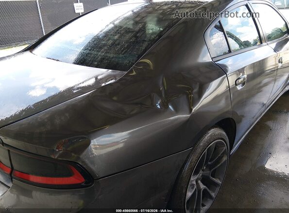 2C3CDXBG8GH167124 2016 DODGE CHARGER Gray Widok z przodu