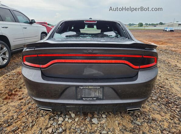 2C3CDXBG8KH665087 2019 DODGE CHARGER Серый Вид сзади