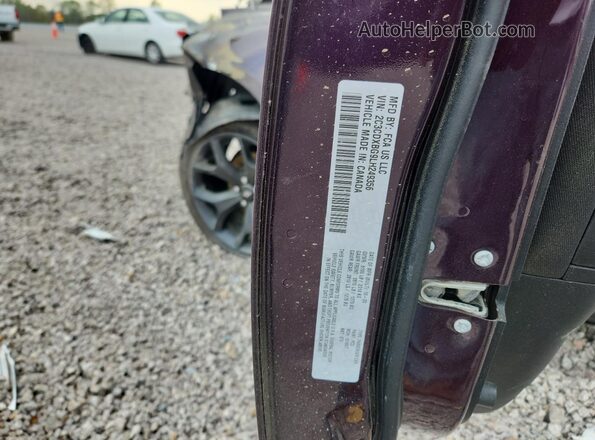 2C3CDXBG9LH249356 2020 DODGE CHARGER Purple VIN sticker view