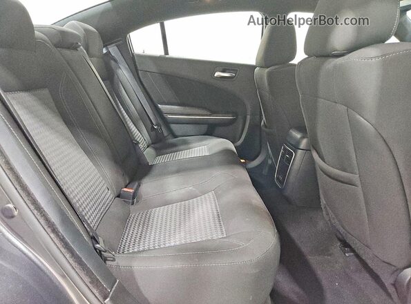 2C3CDXBG9PH659659 2023 DODGE CHARGER Gray Widok tylnych siedzeń