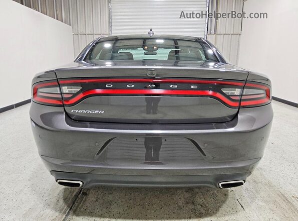 2C3CDXBG9PH659659 2023 DODGE CHARGER Gray Widok z tyłu