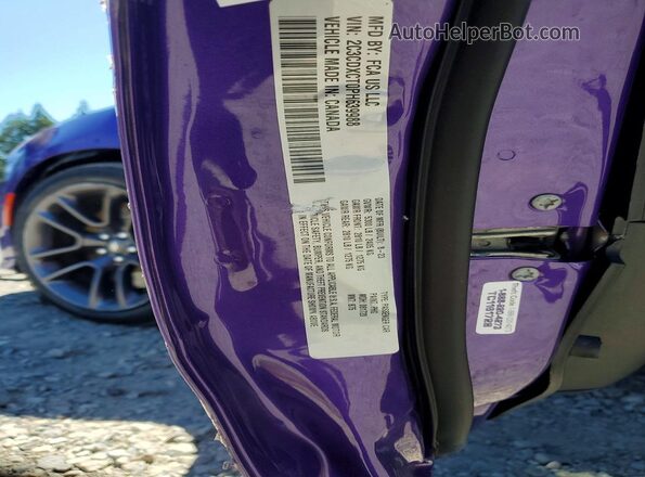 2C3CDXCT0PH639988 2023 DODGE CHARGER Фиолетовый Вид подкапотного пространства