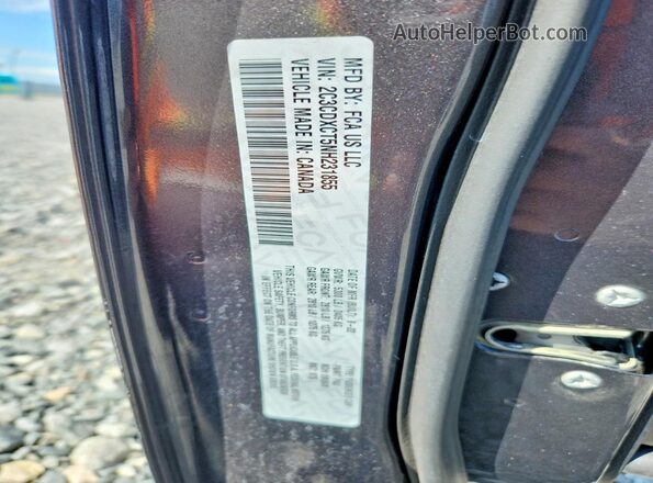 2C3CDXCT5NH231855 2022 DODGE CHARGER Серый Вид наклейки с VIN-кодом
