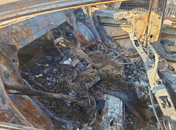 2C3CDXCT6LH229304 2020 DODGE CHARGER Burn Rear seats view