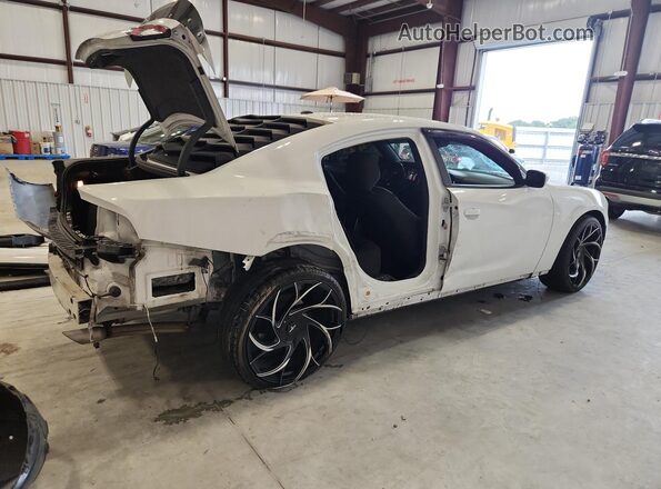 2C3CDXCT9LH215655 2020 DODGE CHARGER White Tył prawy