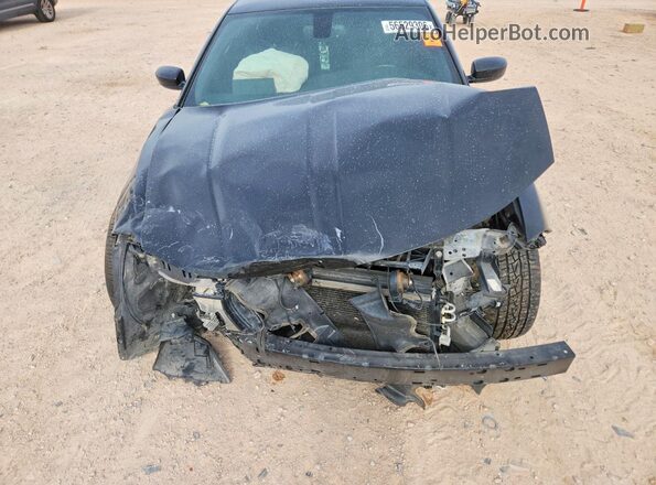 2C3CDXCTXGH186396 2016 DODGE CHARGER Black Սալոնի հետևի տեսք